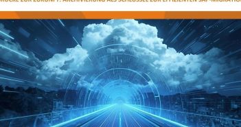 Strategische SAP-Datenarchivierung optimiert Performance und senkt Betriebskosten vor (Foto: entplexit GmbH)